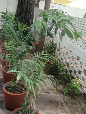3 BHK Independent House – Garden View at Sector 4 - for Rent