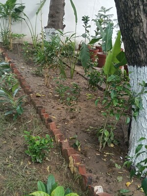 3 BHK Independent House – Garden View at Sector 4 - for Rent
