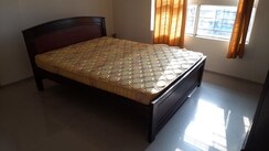 3 BHK Apartment For Rent in Sukhwani Kingston Avenue