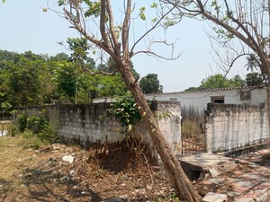 Plot Area in  Land at Tallavalasa – for Sale