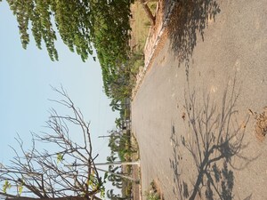 Land For Sale in Tallavalasa