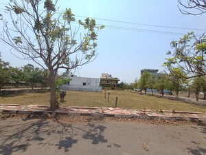 Plot Area in  Land at Tallavalasa – for Sale