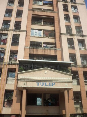 1 BHK Apartment For Rent in Varap