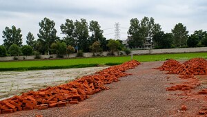 Plot Area in  Plot at Sector 149 – for Sale