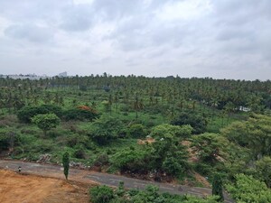 Plot Area in  Plot at Rt Nagar – for Sale