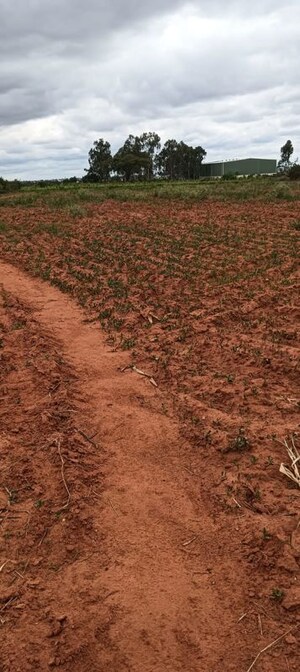 Plot Area in  Plot at Rt Nagar – for Sale
