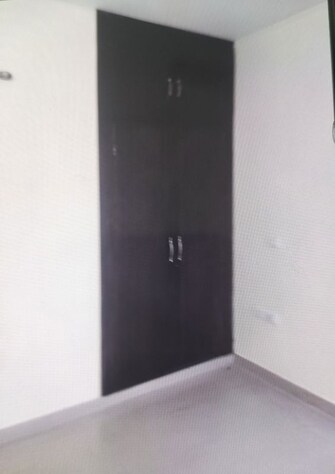 2.5 BHK + Study Room Apartment For Rent in SRS Royal Hills in Sector 87, Faridabad