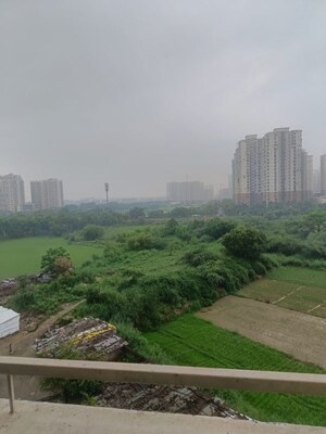 3 BHK Apartment – Garden View at AVS Orchard, Sector 77 - for Rent