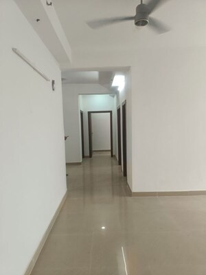 3 BHK Apartment For Rent in AVS Orchard, Sector 77
