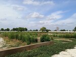 111 Sq.Yd. Plot in Agra Bypass