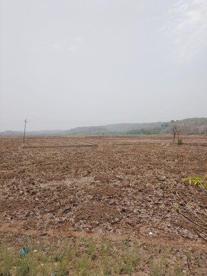  Plot For Sale in Panvel