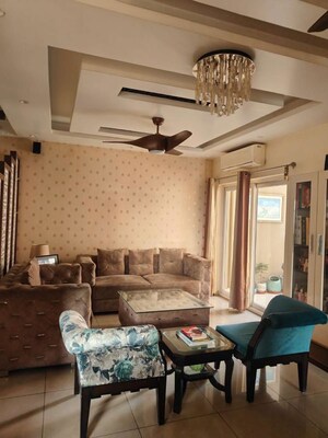 Living Room in 3.5 BHK Apartment at Gulshan Ikebana, Sector 143 – for Sale