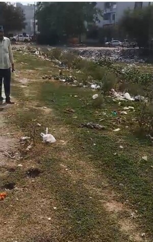 Plot Area in  Land at Sector 11 – for Sale