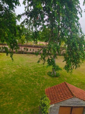  Plot – Garden View at Dharampura - for Sale