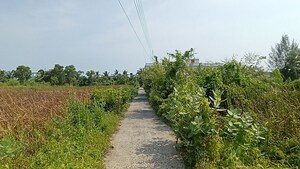  Plot For Sale in Baderaipur Road