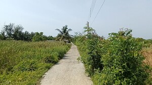 Plot Area in  Plot at Baderaipur Road – for Sale