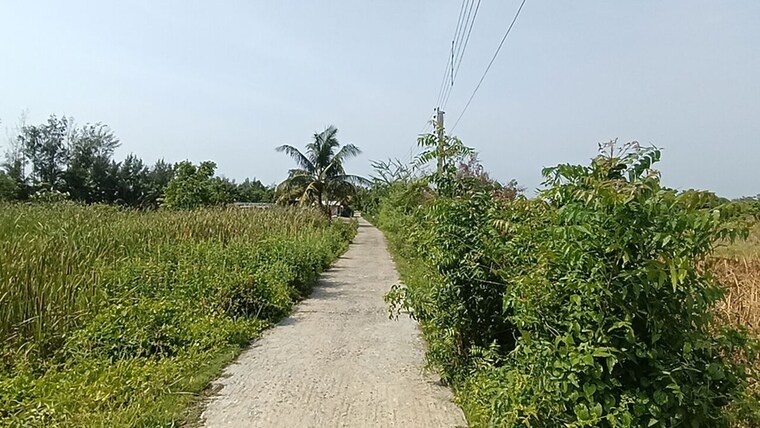 undefined, baderaipur road  15840 Sq.Ft. Plot In Baderaipur Road Kolkata 10447053