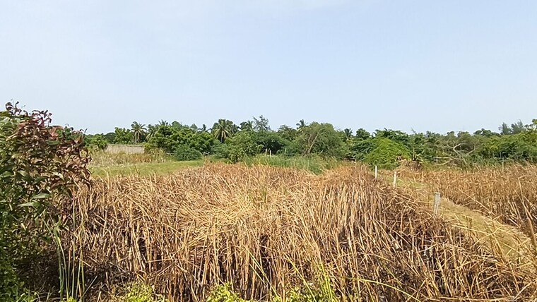 undefined, baderaipur road  15840 Sq.Ft. Plot In Baderaipur Road Kolkata 10447053