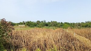 Plot Area in  Plot at Baderaipur Road – for Sale