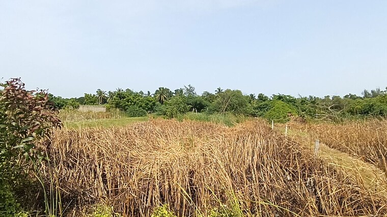 undefined, baderaipur road  15840 Sq.Ft. Plot In Baderaipur Road Kolkata 10447053