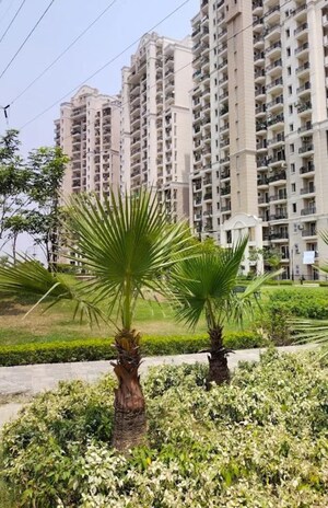 3 BHK Apartment – Exterior View View at ATS Golf Meadows, Central Derabassi - for Rent