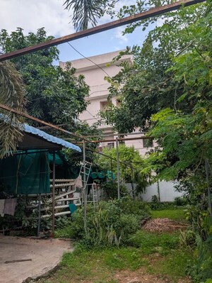 Plot Area in  Land at Injapur – for Rent