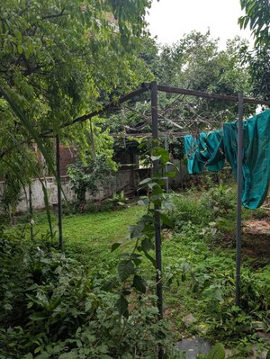 Plot Area in  Land at Injapur – for Rent