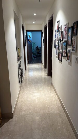 Building Lobby in 3 BHK Apartment at BPTP Terra, Sector 37d – for Rent