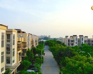 3 BHK Builder Floor – Exterior View View at BPTP Parkland Pride, Sector 77 - for Sale
