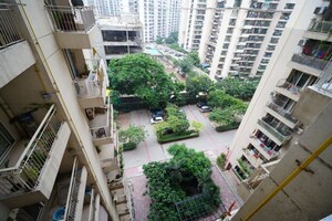 2.5 BHK Apartment – Exterior View View at Sam Palm Olympia, Sector 16c Greater Noida - for Sale