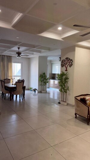 Living Room in 3 BHK Builder Floor at Sector 15 – for Rent