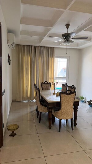 Living Room in 3 BHK Builder Floor at Sector 15 – for Rent