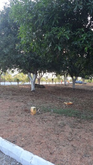 Plot Area in  Plot at Yadagirigutta – for Sale