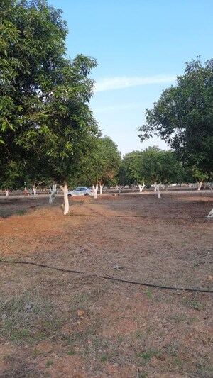Plot Area in  Plot at Yadagirigutta – for Sale