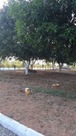 150 Sq.Yd. Plot in Yadagirigutta