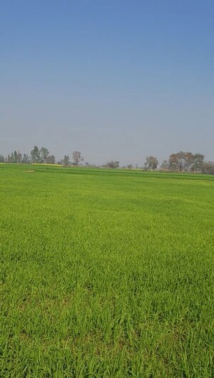  Land For Sale in Sikandrabad