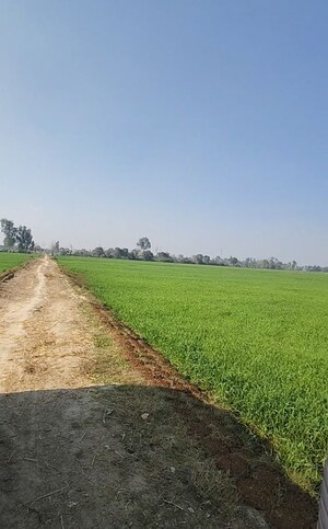 Plot Area in  Land at Sikandrabad – for Sale