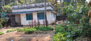  Plot For Sale in Thrippunithura