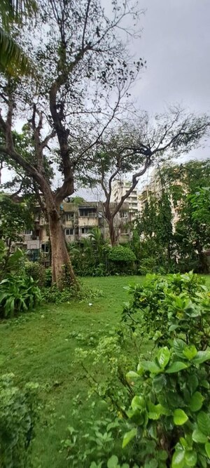 3 BHK Apartment – Exterior View View at Shivaji Park - for Rent