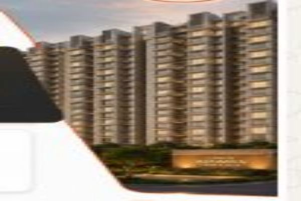 3 BHK 1309 Sq.Ft. Apartment in Trident Embassy