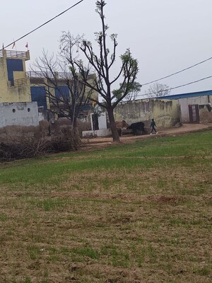  Land For Sale in Bawal