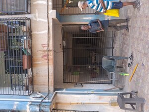  Apartment – Exterior View View at Belavali - for Sale