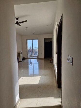 2 BHK Apartment For Rent in BBD Green City Sun Breeze II in Gomti Nagar, Lucknow