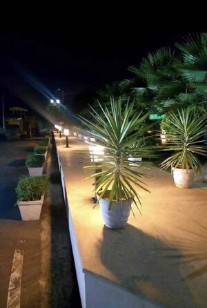   Plot at Wing Lucknow Greens Plots, Sultanpur Road – for Sale