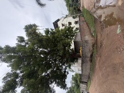 Plot For Sale in Ammuguda