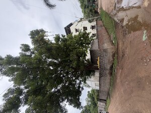 Plot For Sale in Ammuguda