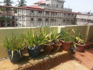 1 RK Independent House – Exterior View View at Rt Nagar - for Rent