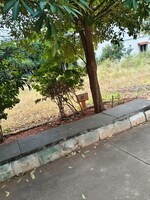 1500 Sq.Ft. Plot in Himagiri Urban Woods