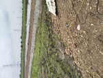 2000 Sq.Ft. Industrial Plot in Mota