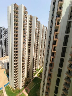 3 BHK Apartment For Rent in Amrapali Dream Valley